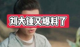 刘大锤以往爆料视频大全,揭秘娱乐圈幕后真相