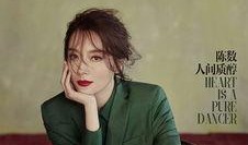 陈数最新爆料消息新闻,揭秘演艺圈幕后真相