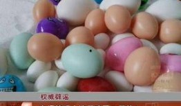 爆料假鸡蛋视频,视频曝光惊人真相