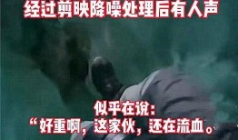 岳山联动爆料事件视频,事件背后真相曝光