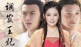 调皮王妃全集在线观看,全集在线观看，宫廷风云尽收眼底