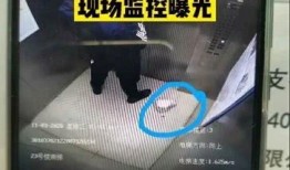 青岛外卖员爆料视频曝光,揭秘外卖行业背后真相