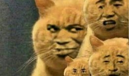 南昌黑虎爆料视频大全最新,揭秘背后惊人真相