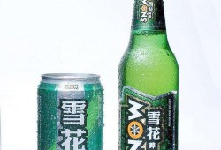 雪花啤酒爆料视频大全,揭秘品牌背后的故事与精彩瞬间