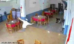天津餐厅爆料事件视频曝光,揭露惊人内幕