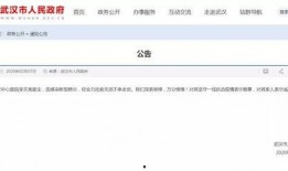 李文亮微信爆料视频,疫情真相与抗争历程