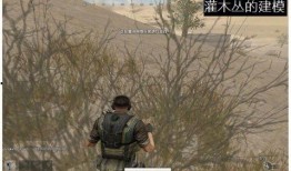 cf端游先遣服最新爆料,全新武器与地图，战火再燃！