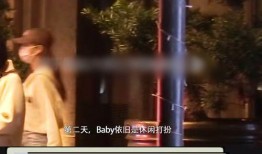 越南狗仔爆料视频大全集,揭秘娱乐圈幕后真相