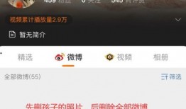 王小菲被爆料图片视频,真相与争议