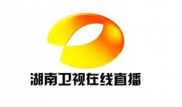 湖南频道在线观看,尽享精彩瞬间，畅游湖南文化盛宴