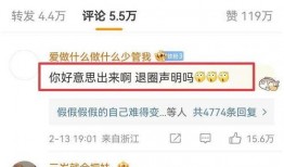 陈飞宇人品爆料视频大全,揭秘爆料视频背后的真相