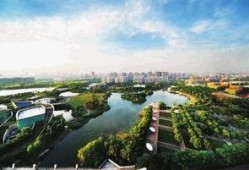 新江湾城最新爆料事件新闻,神秘事件引发热议，真相即将揭晓