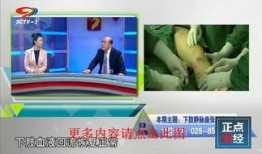 四川电视台在线观看,云端之上，尽享精彩视听盛宴