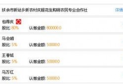 扶余市新站最新爆料,揭秘新站发展新篇章”