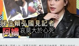 港媒爆料赖弘国视频播放,疑涉不雅内容引发热议