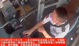 鹏哥爆料司机视频大全集,司机视频大全集深度解析