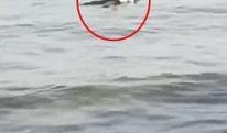 秦皇岛浴场爆料视频最新,揭秘海滩背后的惊人真相