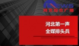 河北电台爆料新闻视频,揭秘某事件背后惊人真相