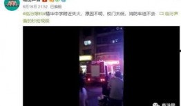 学校爆料视频大全下载,学校爆料视频大全精彩瞬间回顾