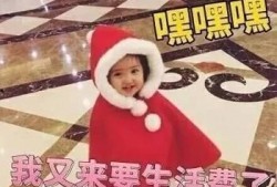 生活今日爆料图片表情包,表情包里的趣味瞬间