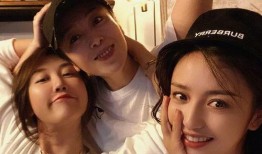 越南狗仔爆料视频大全集,揭秘娱乐圈幕后真相