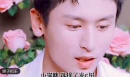 星哥说实话爆料视频大全,揭秘爆料视频背后的真实故事