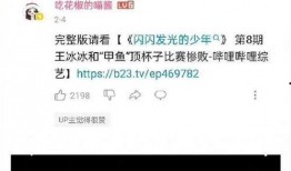 网友爆料王冰冰视频在线,网友爆料背后的真相揭秘