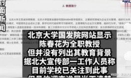 陈春花最新爆料新闻内容,揭秘企业变革与领导力新趋势