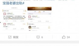 马蓉方最新爆料,揭秘王宝强婚姻内幕惊人真相