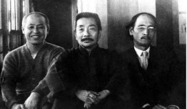 鲁迅最新爆料事件视频全集,揭秘历史真相，视频全集深度解析