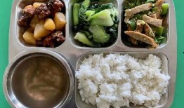 典雅学院爆料视频在哪看,独家爆料视频观看指南