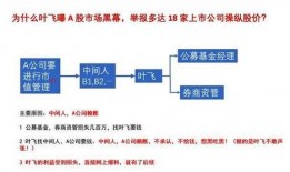 怎么看叶飞爆料的视频,深度解析视频内容背后的真相