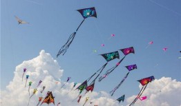 风筝在线在线观看全集,揭秘神秘网络世界的惊险旅程