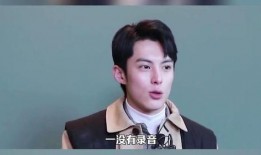 群演爆料王鹤棣视频大全