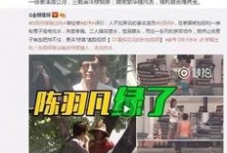 王小菲被爆料图片视频,真相与争议