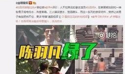 王小菲被爆料图片视频,真相与争议