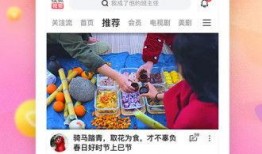优酷粽子爆料视频下载,独家下载攻略大公开