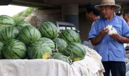 呼市网红吃瓜事件,揭秘网络舆论的风云变幻