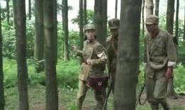 老杨最新爆料视频大全集,揭秘幕后真相，带你走进事件核心