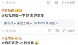 网红绯闻爆料视频播放网站,热门视频播放网站深度解析