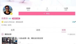 网友爆料王冰冰视频在线,网友爆料背后的真相揭秘