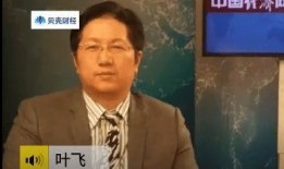 怎么看叶飞爆料的视频,深度解析视频内容背后的真相