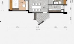 pubgm爆料最新金装