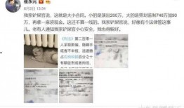 娱乐圈爆料大站微博,揭秘明星幕后故事，独家爆料不断！