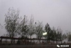 邢台头条最新爆料,最新爆料事件深度解析