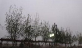 邢台头条最新爆料,最新爆料事件深度解析