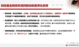 陈春花最新爆料新闻内容,揭秘企业变革与领导力新趋势